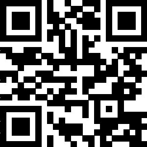 Imagen QR