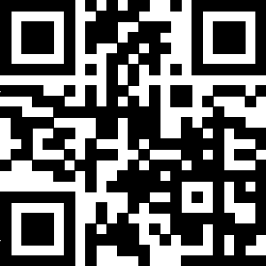 Imagen QR