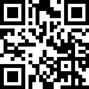 Imagen QR