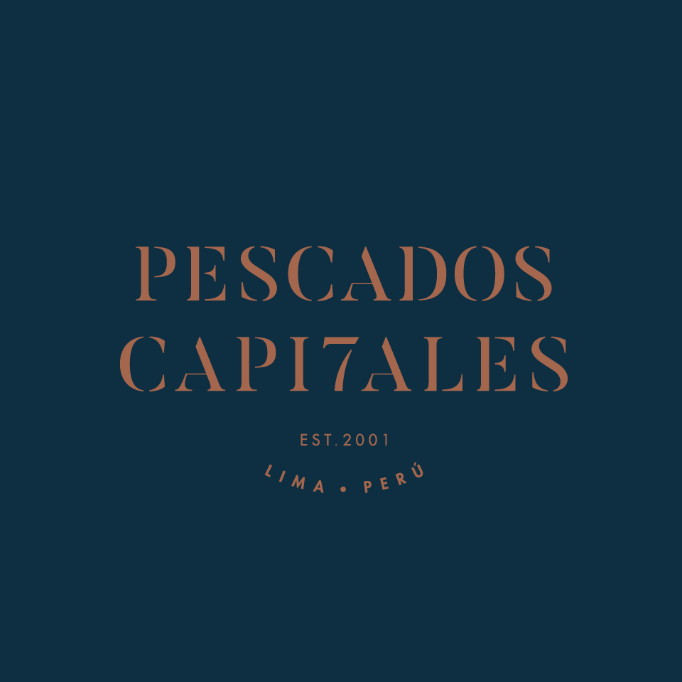 desarrollo_widget