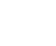 PicoGallo