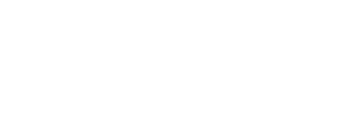 THE OBSERVATORY